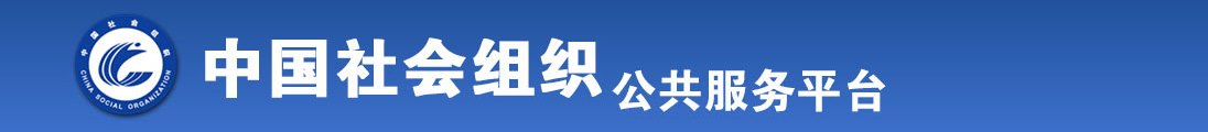 www操插全国社会组织信息查询